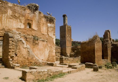 Image 19